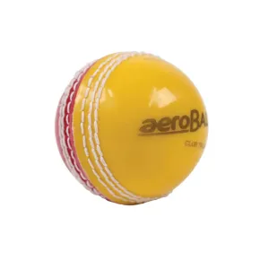 Aero Trainer (Red/Yellow)  Cricket Balls