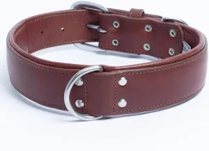 Angel, Dallas Genuine Leather Dog Collar, Brown. Hand Made Western Padded Collar. 100% Argentinean Cowhide. Angel Elite Collection,