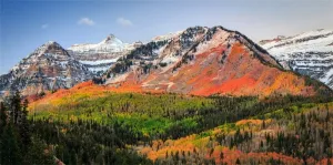 AOFOTO 12x6ft Autumn Panoramic Wasatch Mountains Backdrop Utah Colourful Fall Sunrise Rocky Mountain Ridge Forest Scenery Alpine Background Travel Tour Scenic Photo Studio Props Vinyl