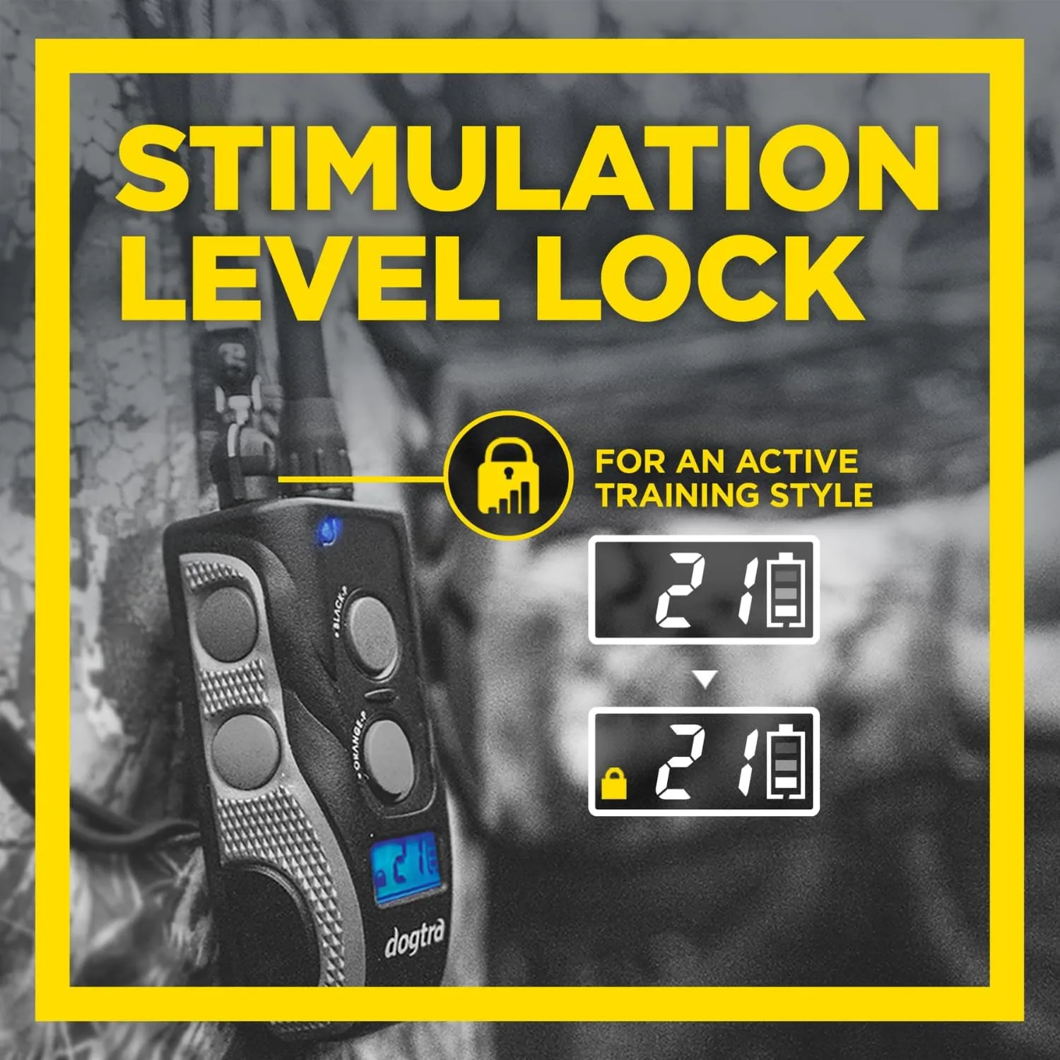 Dogtra 1900S Black - Remote Training Collar - 1 Mile Range, Waterproof, Rechargeable, Static, Vibration - Includes PetsTEK Dog Training Clicker