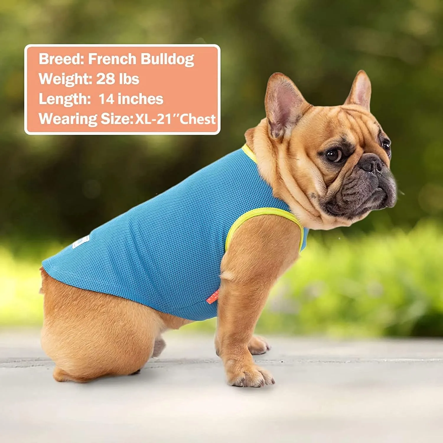 KYEESE 2 Pack Dog Cooling Shirts - Breathable Instant Cooling Vests, Lightweight for Summer Dog Apparel, Blue Grey, Large