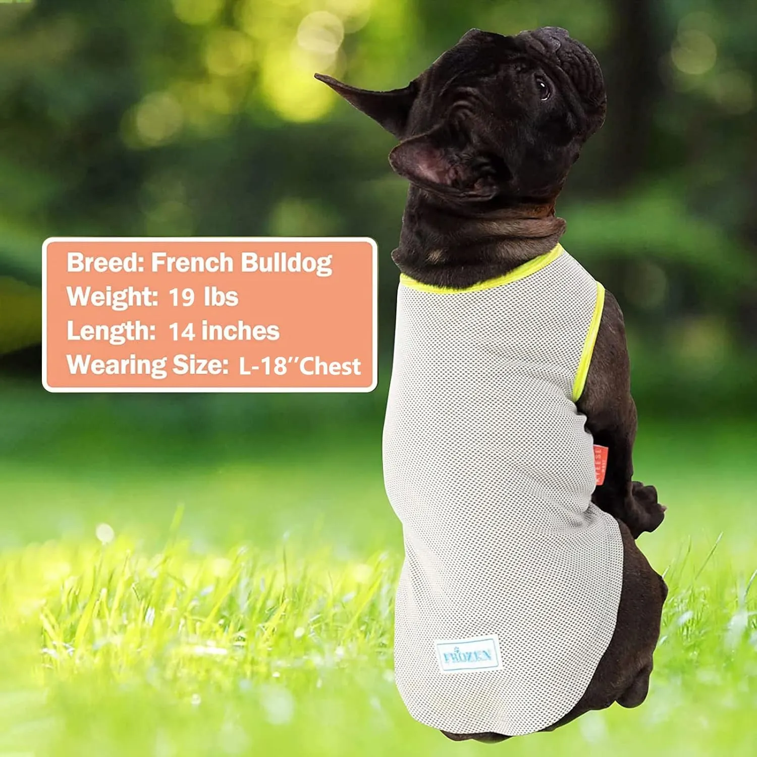 KYEESE 2 Pack Dog Cooling Shirts - Breathable Instant Cooling Vests, Lightweight for Summer Dog Apparel, Blue Grey, Large
