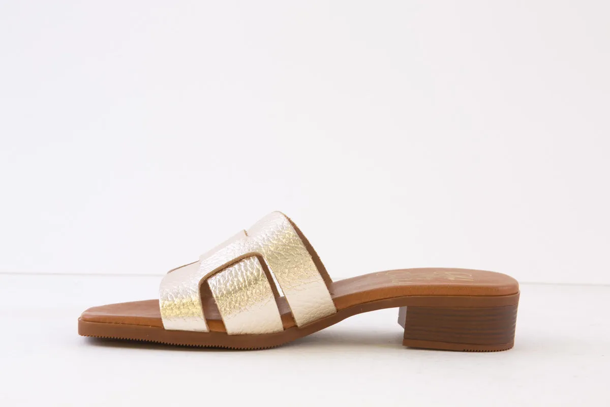 OH MY SANDALS - 5343 FLAT MULE - GOLD