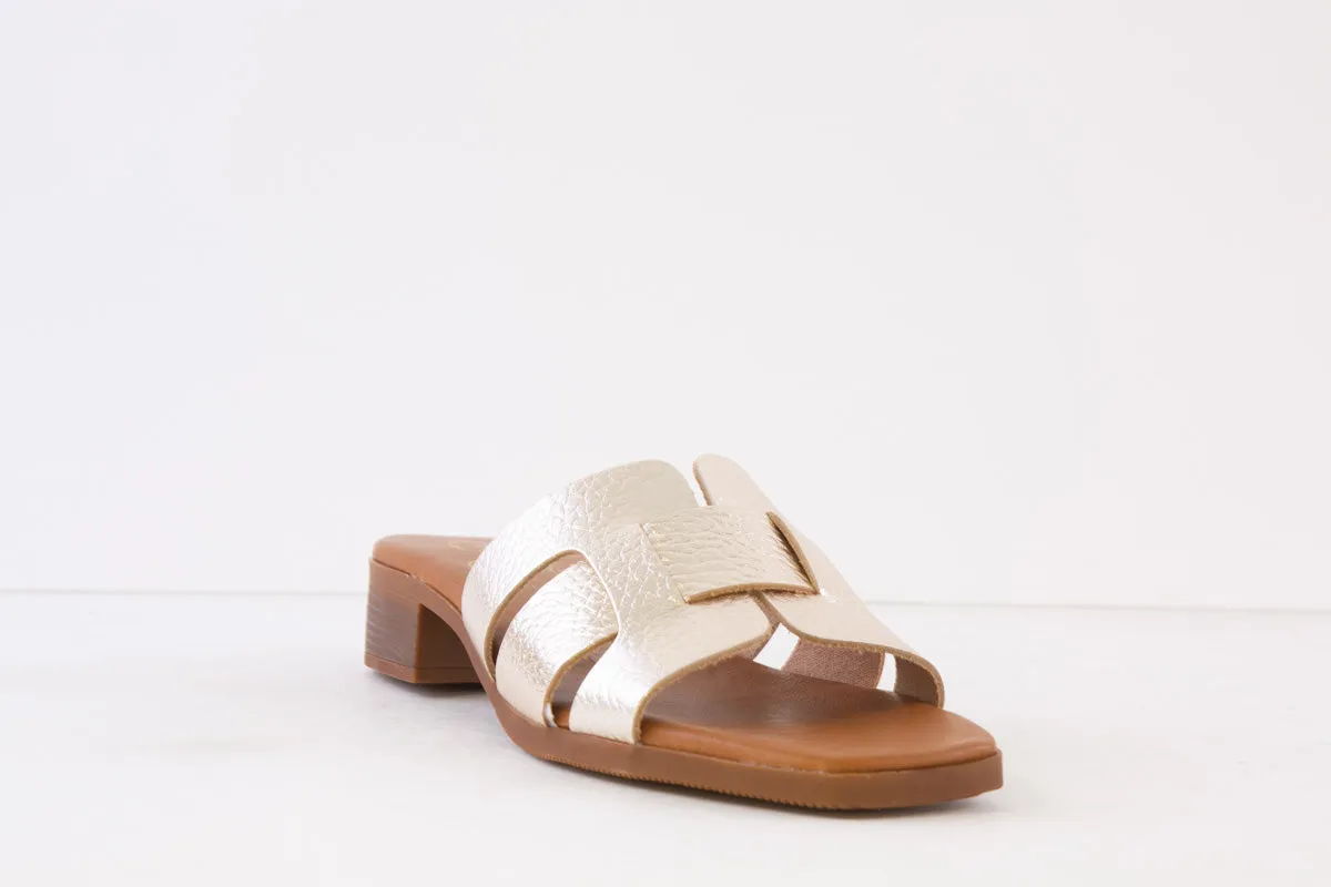 OH MY SANDALS - 5343 FLAT MULE - GOLD