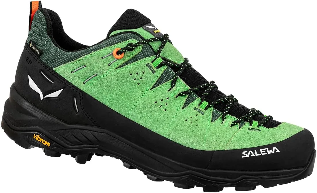 Salewa Men's Alp Trainer 2 Gore-Tex Waterproof GTX Hiking Shoe