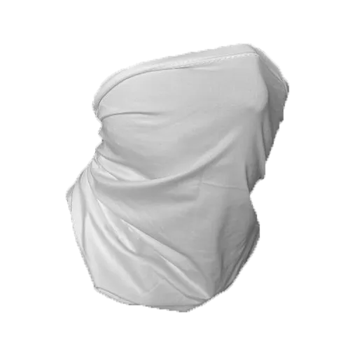 White Neck Gaiter